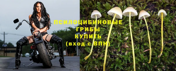 каннабис Богородицк