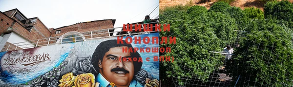 трава Богданович