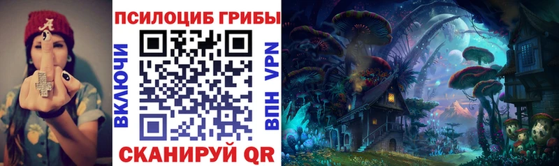 Купить где  Дмитровск  Псилоцибиновые грибы прущие грибы 